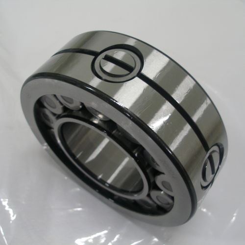 Cuscinetto a rulli cilindrici - SL 19 series - THB Bearings - a corona singola / in acciaio / con gabbia