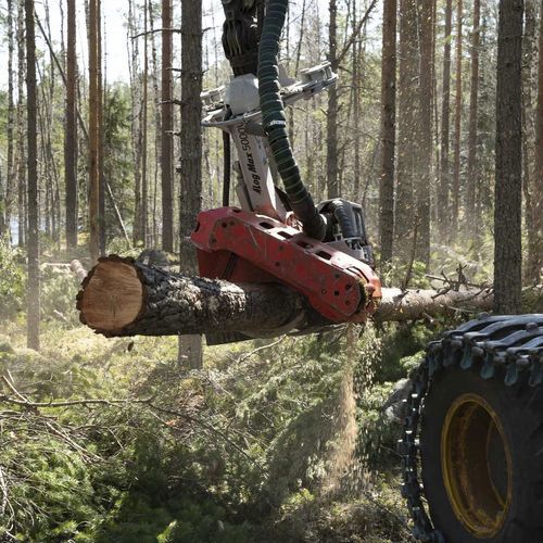 Testa di abbattimento - 5000V - Log Max