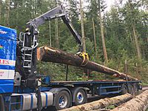Gru montata su camion - 2121Z,2124Z - Kesla Oyj - telescopica / forestale / per movimentazione