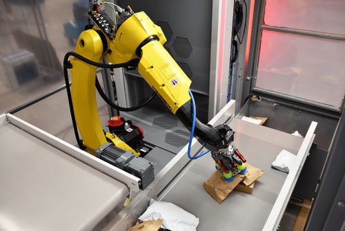 Robot per cernita - AUTO INDUCT - VANDERLANDE - articolato / 6 assi / di manipolazione