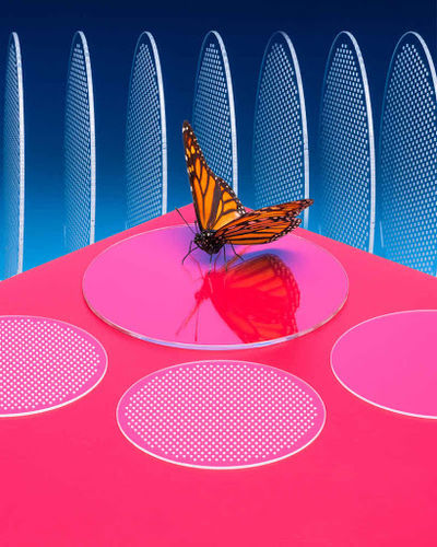 Trasportatore di wafer - MELLER OPTICS