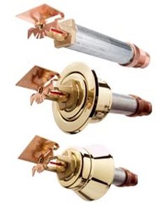 Sprinkler a secco - DS series - Tyco
