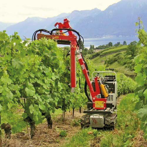 Mini dumper cingolato - R 70 series - ROTAIR SPA - a benzina / diesel / con benna elevatrice
