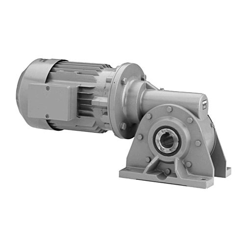 Motoriduttore trifase - SN 10 SHH - Ruhrgetriebe KG - a vite senza fine / ad assi ortogonali / ad albero cavo