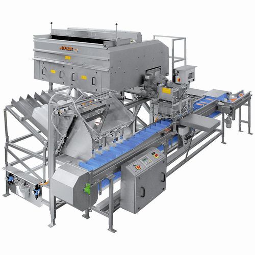 Pesatrice in continuo - AVN 112-CW 12EV-K - Affeldt Maschinenbau GmbH - per l'industria agroalimentare / con alimentatore vibrante / in acciaio inossidabile