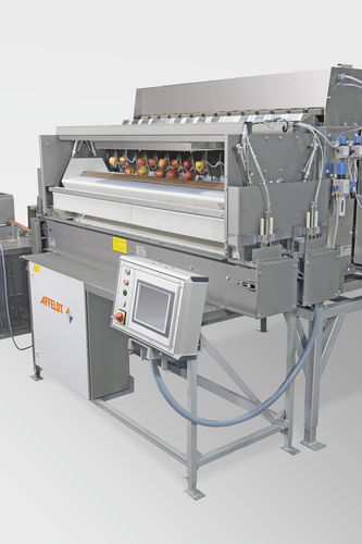 Pesatrice dinamica -  AVN 114-CWxxEVA - Affeldt Maschinenbau GmbH - per l'industria agroalimentare