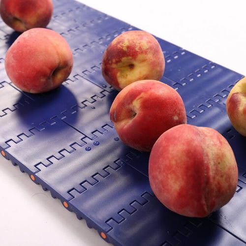 Nastro trasportatore modulare - HS-100A 50.8mm picth - Huanan Xinhai (Shenzhen) Technology Co.,Ltd. - in POM / in PP / in PE