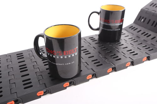 Nastro trasportatore modulare - HS-1800B/63.5MM - Huanan Xinhai (Shenzhen) Technology Co.,Ltd.