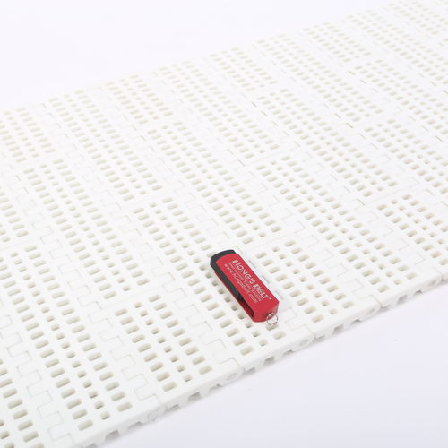 Nastro trasportatore modulare - HS-100B/50.8MM - Huanan Xinhai (Shenzhen) Technology Co.,Ltd. - in plastica / di processo / per verdura