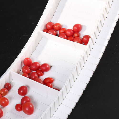 Nastro trasportatore modulare - HS-700A-N 27.2mm pitch - Huanan Xinhai (Shenzhen) Technology Co.,Ltd. - in POM / in PP / in PA