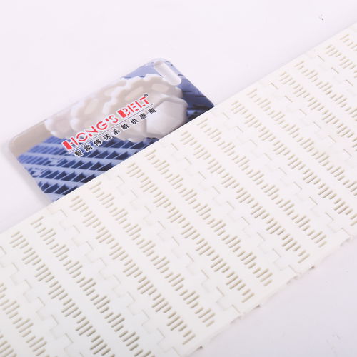 Nastro trasportatore modulare - HS-100B-HD - Huanan Xinhai (Shenzhen) Technology Co.,Ltd.