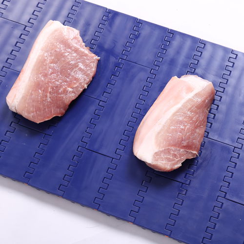 Nastro trasportatore modulare - HS-100A/50.8MM Pitch - Huanan Xinhai (Shenzhen) Technology Co.,Ltd. - in PP / industriale