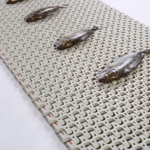 Nastro trasportatore flessibile - HS-501B, 25.4mm pitch - Huanan Xinhai (Shenzhen) Technology Co.,Ltd. - modulare / in POM / in PP