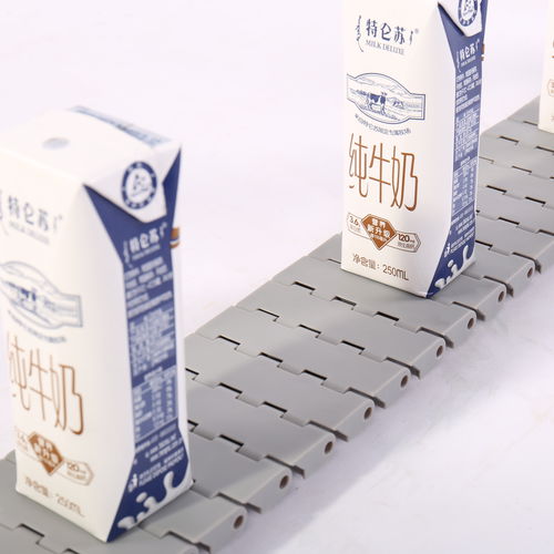 Nastro trasportatore modulare - HS-502A-83GB /25mm picth - Huanan Xinhai (Shenzhen) Technology Co.,Ltd. - in POM / in PP / in PA