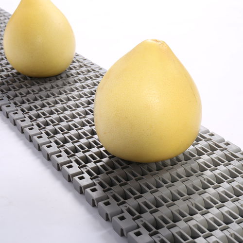 Nastro trasportatore modulare - HS-1700B/38.1mm picth - Huanan Xinhai (Shenzhen) Technology Co.,Ltd. - in POM / in PP / in PA