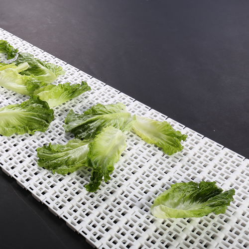 Nastro trasportatore modulare - HS-900B / 50.8mm picth - Huanan Xinhai (Shenzhen) Technology Co.,Ltd. - in POM / in PP / in PA