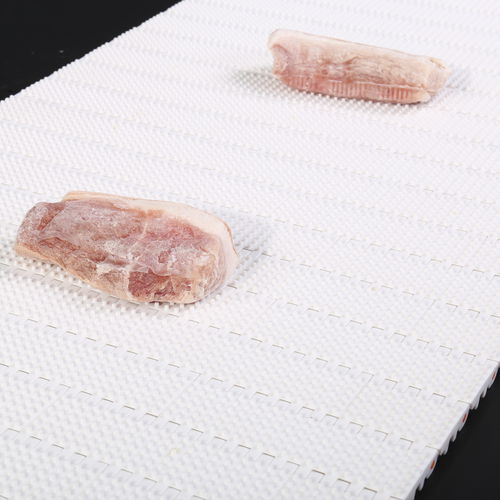 Nastro trasportatore modulare - HS-100AN/50.8mm picth - Huanan Xinhai (Shenzhen) Technology Co.,Ltd. - in POM / per l'industria agroalimentare / per carichi eccezionali
