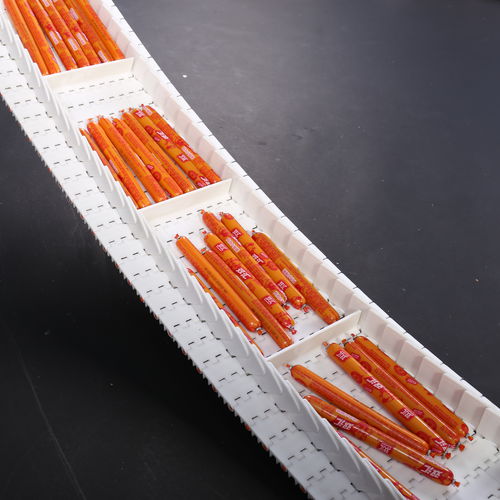 Nastro trasportatore modulare - HS-200A - Huanan Xinhai (Shenzhen) Technology Co.,Ltd. - in PP / in nylon / industriale