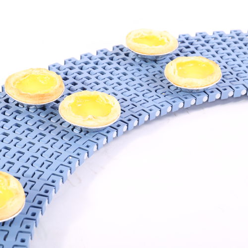 Nastro trasportatore modulare - HS-500B-GB - Huanan Xinhai (Shenzhen) Technology Co.,Ltd. - in POM / in polipropilene / in nylon
