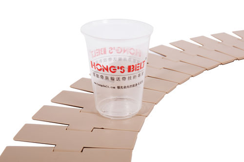 Catena di trasporto in plastica - HS-880-K450  - Huanan Xinhai (Shenzhen) Technology Co.,Ltd. - a doghe