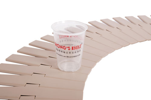 Catena di trasporto in plastica - HS-880-K750 - Huanan Xinhai (Shenzhen) Technology Co.,Ltd. - a doghe