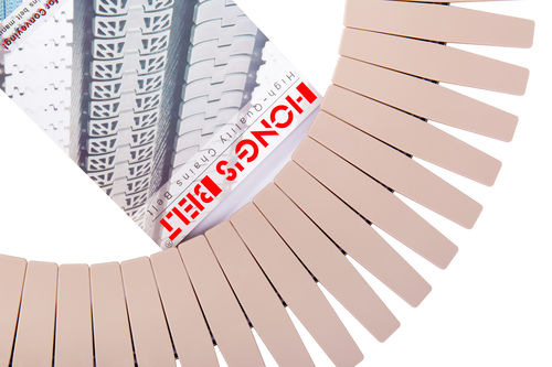 Catena di trasporto in POM - HS-1873T-K750 - Huanan Xinhai (Shenzhen) Technology Co.,Ltd. - a doghe