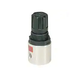 Regolatore di pressione per aria compressa - R34   - Watts Fluid Air - a molla / monostadio / analogico