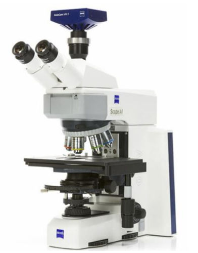Microscopio ottico - AxioScope A1 - Hitech Instruments - da laboratorio / da ricerca / dritto
