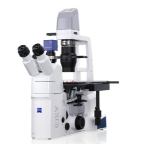 Microscopio ottico - AxioVert A1 - Hitech Instruments - da ricerca / industriale / medico
