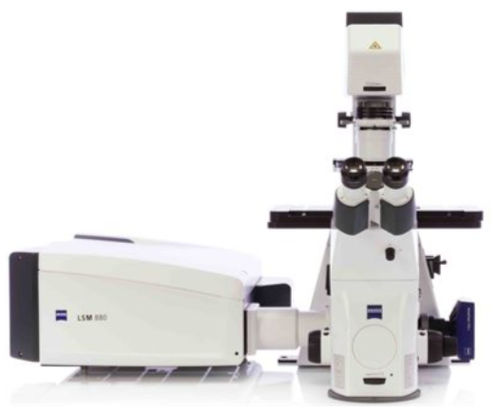 Sistema di imaging compatto - LSM 800 - Hitech Instruments