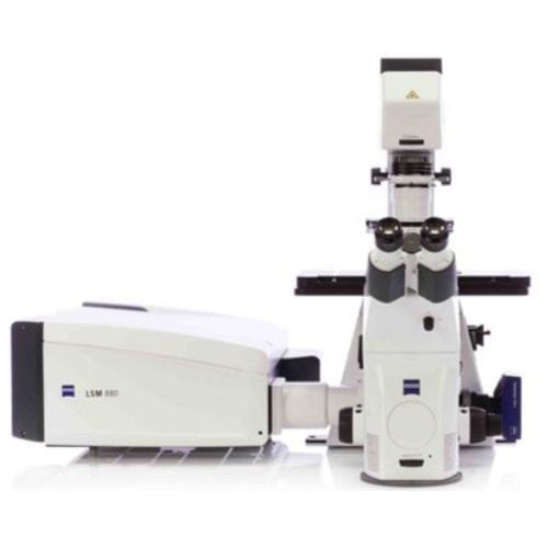 Sistema di imaging - Airyscan - Hitech Instruments