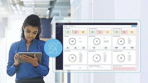 Software di gestione - Cisco+ - Cisco Systems - di ottimizzazione / di business intelligence / di rete