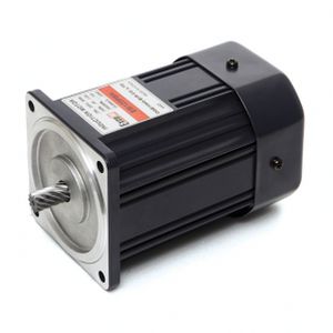 Motore reversibile - E9R120 series - DAEHWA E/M CO.,LTD - sincrono / monofase / 220 V