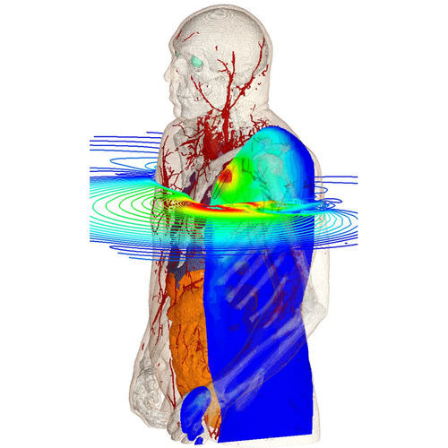 Software di simulazione - Bioelectromagnetics Simulation - SIMULIA - di ingegneria / per test / di modellizzazione