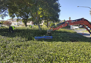 Tagliasiepe idraulico - Auger Torque Europe Ltd. - per escavatore