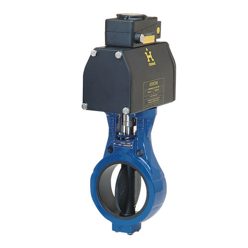 Valvola a farfalla - F637 - Pentair Valves & Controls - elettrica / di controllo / per fango