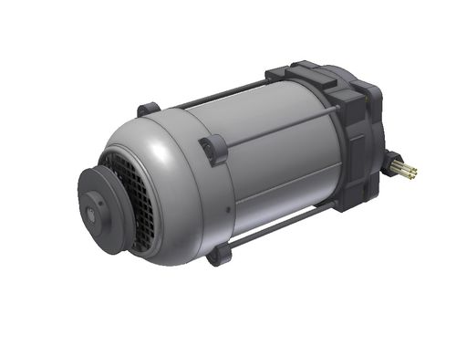 Motore ad induzione - Elnor Motors - monofase / ATEX