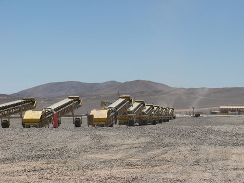 Trasportatore a nastro - TC series - THOR GLOBAL ENTERPRISES LTD. - orizzontale / da trasporto / mobile