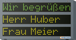Display alfanumerico - WIBOND Informationssysteme GmbH - RS-232 / RS-485 / PROFIBUS