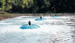 Aeratore - Mist Eliminator™ - Evoqua Water Technologies