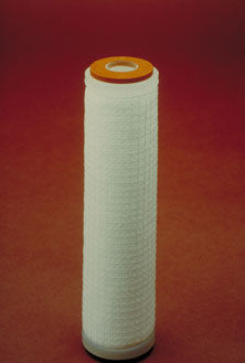 Cartuccia filtrante per bevande - Prepure DP™ - Evoqua Water Technologies - di profondità / in polipropilene