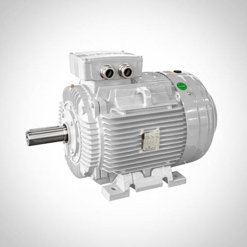 Motore asincrono - WE series - Fuzhou Wonder Electric Co.,Ltd. - a 3 fasi / 400 V / in ghisa