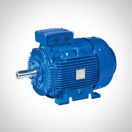 Motore asincrono - ZWE series - Fuzhou Wonder Electric Co.,Ltd. - a 3 fasi / 400 V / in ghisa