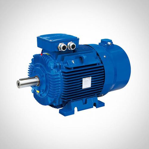 Motore ad induzione - WVF series - Fuzhou Wonder Electric Co.,Ltd. - a 3 fasi / 400 V / in ghisa
