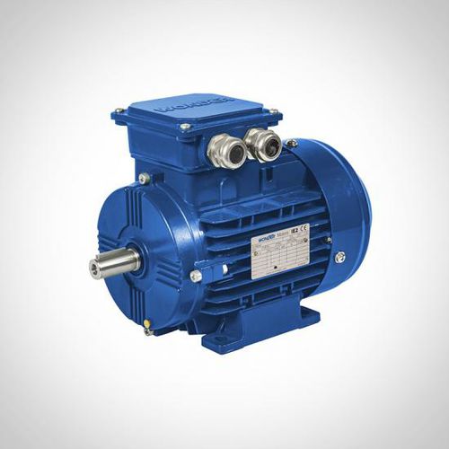 Motore asincrono - ZWEA series - Fuzhou Wonder Electric Co.,Ltd. - AC / 400 V / in alluminio