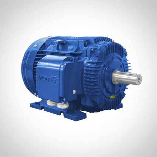 Motore asincrono - NT series - Fuzhou Wonder Electric Co.,Ltd. - trifase / in ghisa / IP55