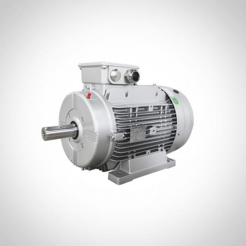 Motore ad induzione - WTM series - Fuzhou Wonder Electric Co.,Ltd. - trifase / modulare / IP55