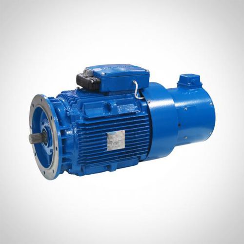 Motore ad induzione - WEAVF&WEVF series - Fuzhou Wonder Electric Co.,Ltd. - trifase / con freno / IP55