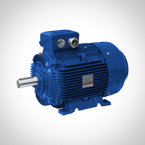 Motore asincrono - SSWE160M1-2 - Fuzhou Wonder Electric Co.,Ltd. - trifase / 400 V / in ghisa