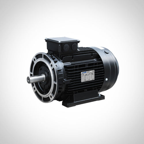 Motore ad induzione - SSWEA132S1-2-5.5KW - Fuzhou Wonder Electric Co.,Ltd. - AC / IE4 / per applicazioni idrauliche